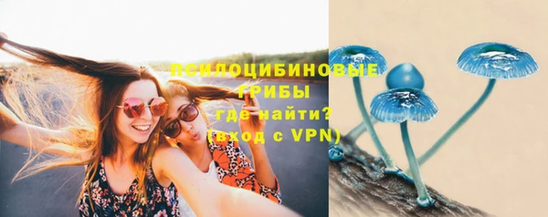 первитин Новозыбков