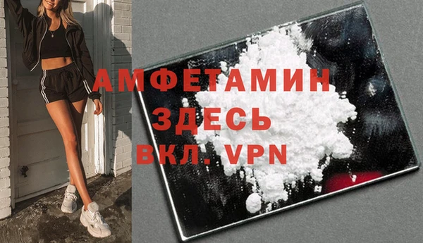 стафф Новодвинск