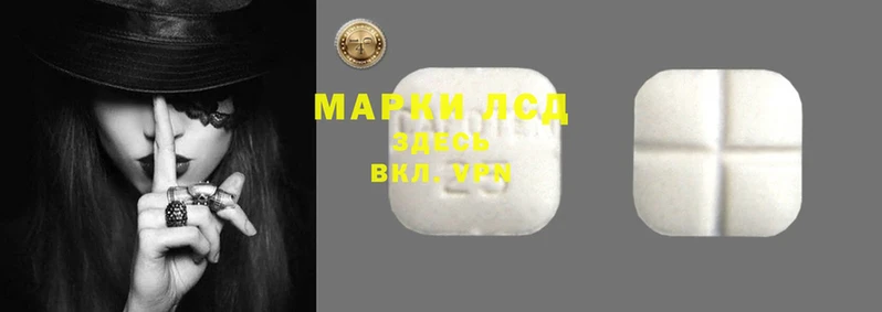 стафф Новодвинск
