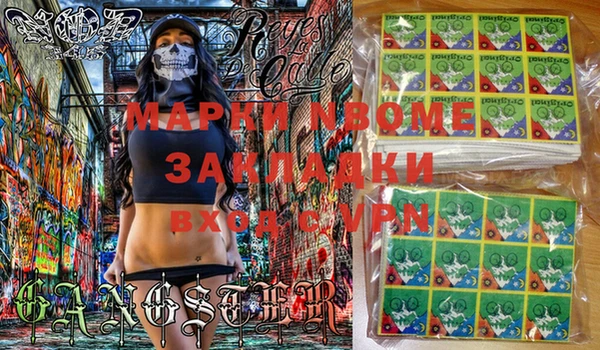 стафф Новодвинск