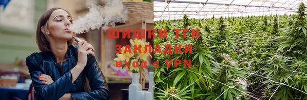 первитин Новозыбков