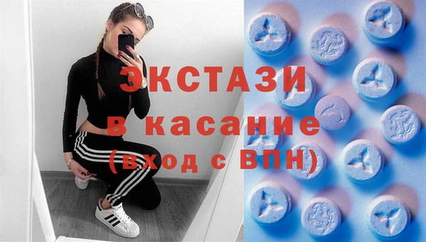 стафф Новодвинск